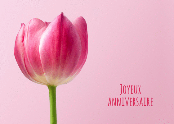 https://www.merci-facteur.com/voeux/1/127/1274-Joyeux%20anniversaire%20avec%20des%20tulipes_maxi.gif