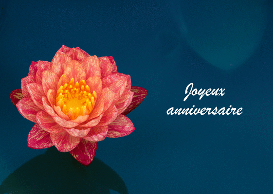 Carte Joyeux Anniversaire Et Nenuphare Envoyer Une Vraie Carte Anniversaire Fleurs Des 0 99 Merci Facteur