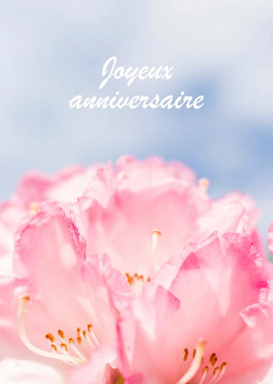 Carte Joyeux Anniversaire Tout En Fleures : Envoyer une 