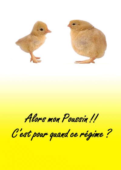 Carte Le Regime De Mon Poussin Envoyer Une Vraie Carte Pour Dire Bonjour Des 0 99 Merci Facteur Carte Le Regime De Mon Poussin Envoyer Une Vraie Carte Pour Dire Bonjour Des 0 99 Merci Facteur