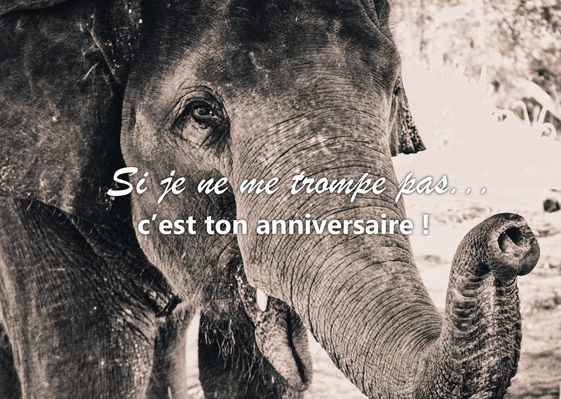 Carte Si Je Ne Me Trompe Pas C Est Ton Anniversaire Envoyer Une Vraie Carte Anniversaire Animaux Des 0 99 Merci Facteur