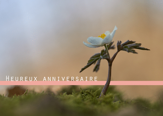 Carte Joyeux Anniversaire Et Le Pont Aux Fleurs Envoyer Une Carte Anniversaire Fleurs Des 0 99 Merci Facteur Carte Joyeux Anniversaire Et Le Pont Aux Fleurs Envoyer Une Carte Anniversaire Fleurs Des 0 99 Merci Facteur