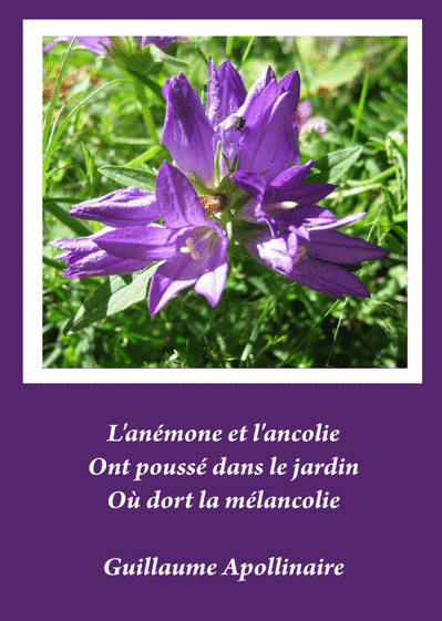 Carte Citation Apollinaire Envoyer Une Carte Condoleances Citation Des 0 99 Merci Facteur Carte Citation Apollinaire Envoyer Une Carte Condoleances Citation Des 0 99 Merci Facteur