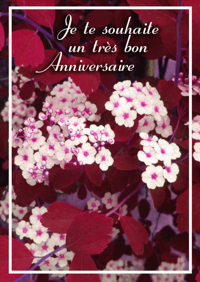 Carte Je Te Souhaite Un Tres Bon Anniversaire Envoyer Une Carte Anniversaire Fleurs Des 0 99 Merci Facteur