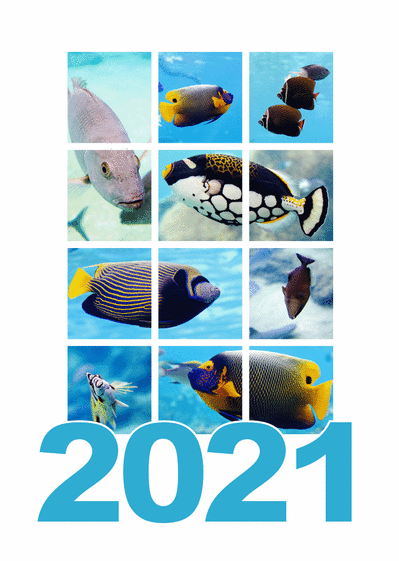 2021 AQUARIUM