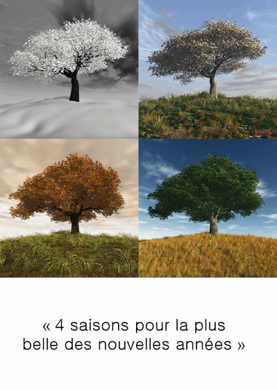 Carte Saisons De La Plus Belle Nouvelle Annee 21 Envoyer Une Carte De Voeux 21 Des 0 99 Merci Facteur Carte Saisons De La Plus Belle Nouvelle Annee 21 Envoyer Une Carte De Voeux 21 Des 0 99 Merci Facteur