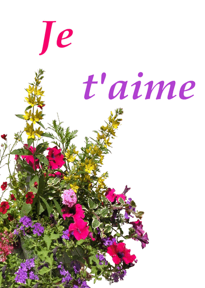 Carte Bouquet De Fleurs Je T Aime