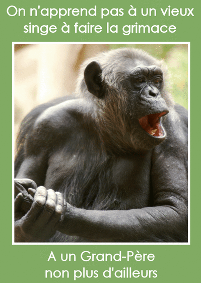 Carte On N Apprend Pas A Un Vieux Singe A Faire La Grimace Envoyer Une Vraie Carte Fete Des Grands Peres Humour Des 0 99 Merci Facteur