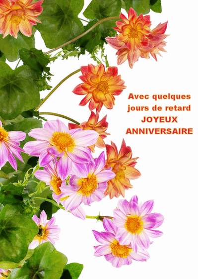 Carte Quelques Jours De Retard Avec Des Fleurs : Envoyer Carte Quelques Jours De Retard Avec Des Fleurs : Envoyer