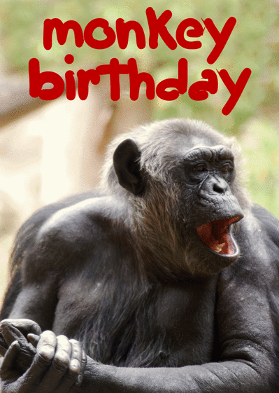 Carte Monkey Bithday Envoyer Une Vraie Carte Anniversaire Humour Des 0 99 Merci Facteur Carte Monkey Bithday Envoyer Une Vraie Carte Anniversaire Humour Des 0 99 Merci Facteur
