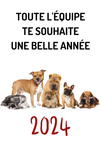 Carte Belle Annee De L Equipe Des Chiens Envoyer Une Vraie Carte De Voeux Entreprise Humour 22 Des 0 99 Merci Facteur