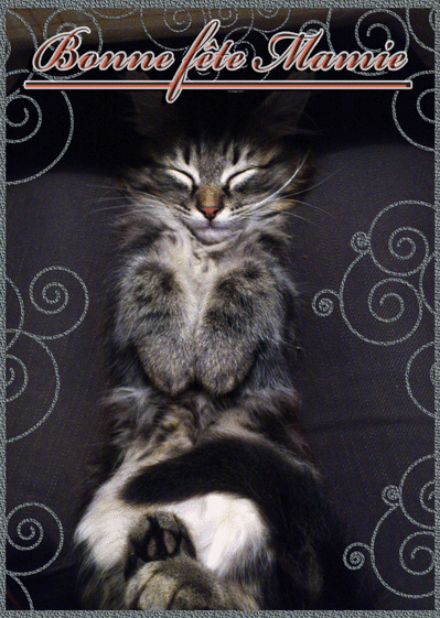 Carte Petit Chat Bonne Fête Mamie : Envoyer Une Vraie Carte Fête Des  Grand-Mères Dès 0,99€ - Merci Facteur