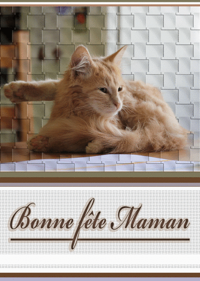 Carte Bonne Fete Maman Avec Nu Chat Roux Envoyer Une Vraie Carte Fete Des Meres Avec Des Animaux Des 0 99 Merci Facteur
