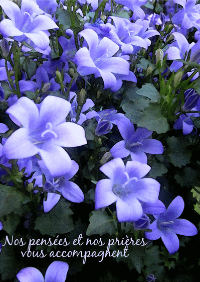 Carte Nos Prieres Vous Accompagnent Envoyer Une Carte Condoleances Religieuses Des 0 99 Merci Facteur