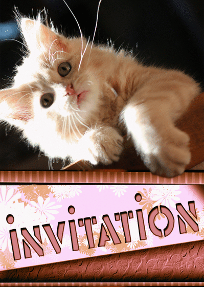 Carte Invitation Avec Un Petit Chat Roux Envoyer Une Carte D Invitation Divers Des 0 99 Merci Facteur Carte Invitation Avec Un Petit Chat Roux Envoyer Une Carte D Invitation Divers Des 0 99 Merci Facteur