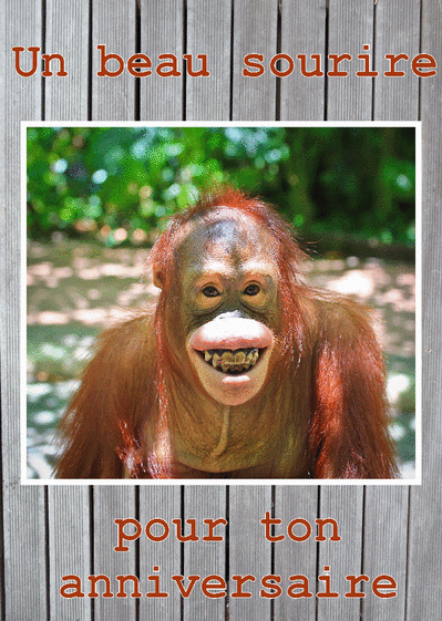 Carte Le Sourire Du Singe Pour Ton Anniversaire : Envoyer 