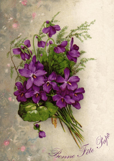 Carte Bonne Fête Papa Et Fleurs Violettes : Envoyer une 