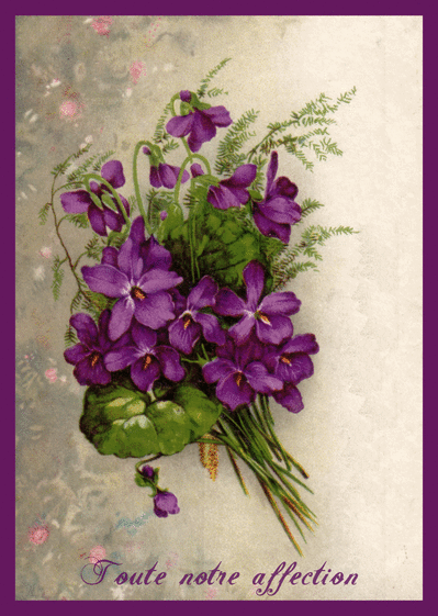Carte Condoléances Ancienne Et Fleurs Violettes : Envoyer 