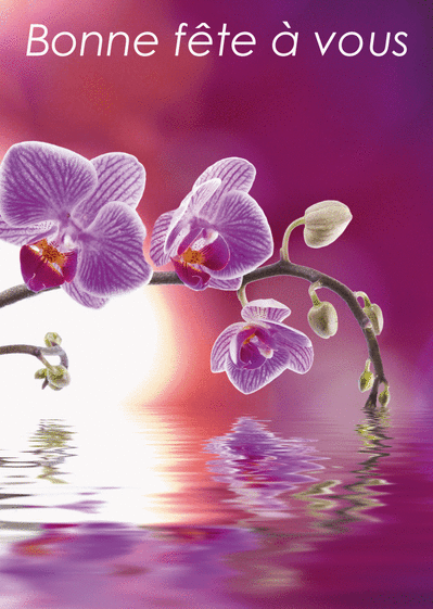 Carte Bonne Fete A Vous Et Orchidee Envoyer Une Vraie Carte Bonne Fete Avec Des Fleurs Des 0 99 Merci Facteur Carte Bonne Fete A Vous Et Orchidee Envoyer Une Vraie Carte Bonne Fete Avec Des Fleurs Des 0 99 Merci Facteur
