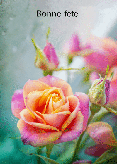 Carte Une Belle Rose : Envoyer une Carte Bonne Fête Avec Carte Une Belle Rose : Envoyer une Carte Bonne Fête Avec
