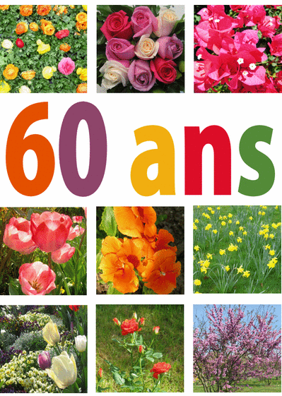 Carte Plein De Fleurs Pour Les 60 Ans Envoyer Une Carte Anniversaire 60 Ans Des 0 99 Merci Facteur