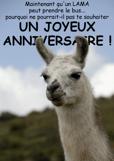 Carte Joyeux Anniversaire Du Lama : Envoyer une Carte 