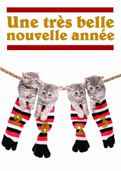 Carte 4 Chatons Dans Des Chaussettes Envoyer Une Carte De Voeux 21 Chat Mignon Des 0 99 Merci Facteur Carte 4 Chatons Dans Des Chaussettes Envoyer Une Carte De Voeux 21 Chat Mignon Des 0 99 Merci Facteur