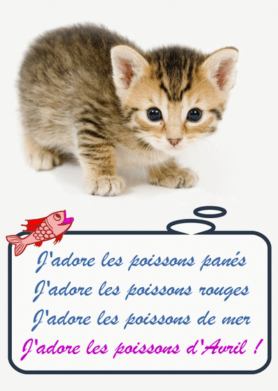 Carte Chaton J'adore Les Poissons D'avril : Envoyer une 