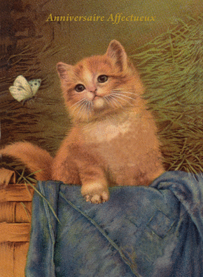 Joyeux Anniversaire Chat Roux