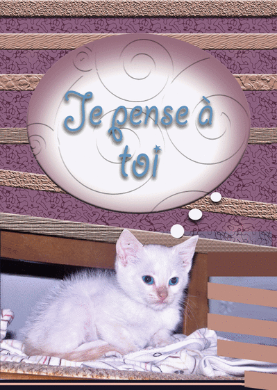 Carte Petit Chat Je Pense A Toi Envoyer Une Vraie Carte Pour Dire Bonjour Des 0 99 Merci Facteur