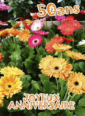joyeux anniversaire 50 ans fleurs Carte 50 Ans De Fleurs Jaunes Envoyer Une Carte Anniversaire 50 joyeux anniversaire 50 ans fleurs