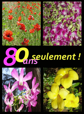 carte anniversaire 80 ans Carte 80 Ans Seulement Envoyer Une Carte Anniversaire 80 Ans Des carte anniversaire 80 ans
