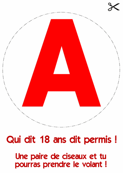 Carte Anniversaire Permis De Conduire Humour avec photo à imprimer (carte  3228)