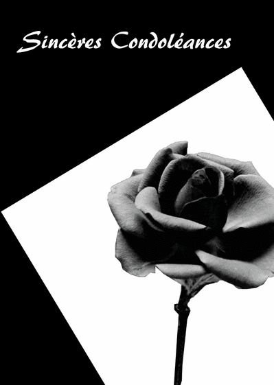 Carte Sinceres Condoleances En Noir Et Blanc Envoyer Une Carte Condoleances Fleurs Des 0 99 Merci Facteur Carte Sinceres Condoleances En Noir Et Blanc Envoyer Une Carte Condoleances Fleurs Des 0 99 Merci Facteur