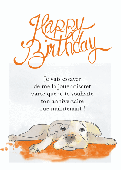 Joyeux Anniversaire en Retard – Lapin Mignon pour s'Excuser