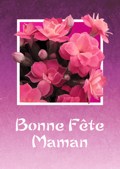 Carte Bonne Fete Maman Et Fleurs Envoyer Une Vraie Carte Fete Des Meres Avec Des Fleurs Des 0 99 Merci Facteur