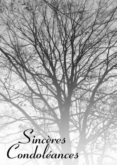Carte Sinceres Condoleances Avec Un Arbre Envoyer Une Vraie Carte Condoleances Des 0 99 Merci Facteur Carte Sinceres Condoleances Avec Un Arbre Envoyer Une Vraie Carte Condoleances Des 0 99 Merci Facteur