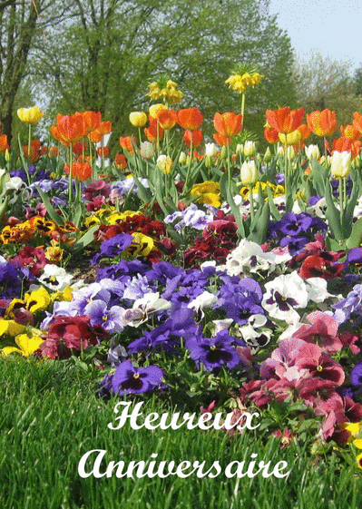 Carte Heureux Anniversaire Et Tulipes Envoyer Une Vraie Carte Anniversaire Fleurs Des 0 99 Merci Facteur