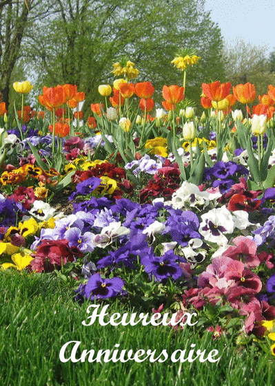Carte Heureux Anniversaire Et Tulipes Envoyer Une Carte Anniversaire Fleurs Des 0 99 Merci Facteur Carte Heureux Anniversaire Et Tulipes Envoyer Une Carte Anniversaire Fleurs Des 0 99 Merci Facteur