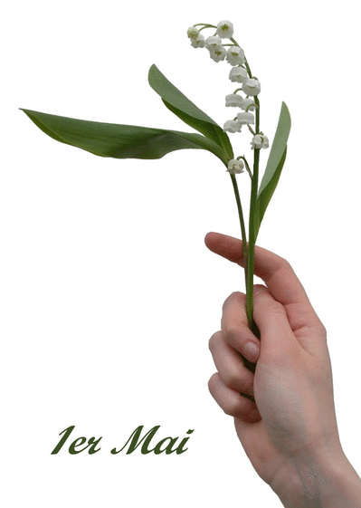 Carte Brin De Muguet Du 1er Mai : Envoyer une Carte 1er 