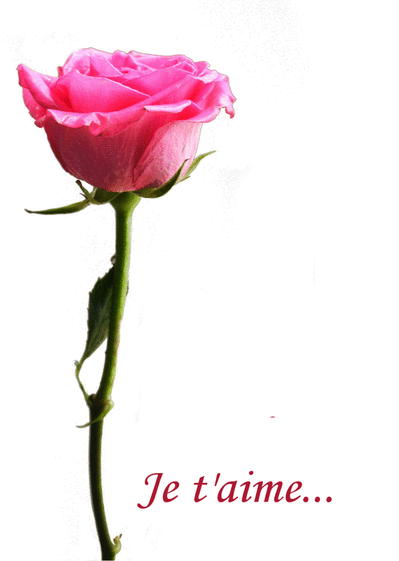 Carte Rose Je T Aime : Envoyer une Carte Saint Valentin 