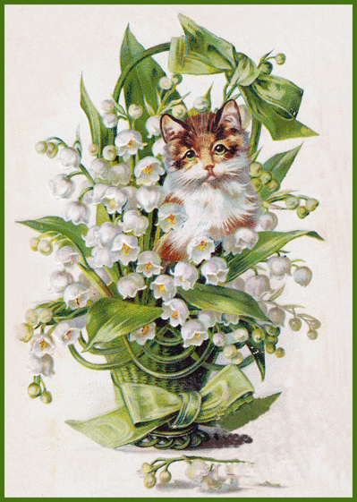 Carte Du Muguet Et Un Petit Chat : Envoyer une Carte Ancienne 1er Mai dès  0,99€ - Merci facteur