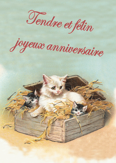 Carte Tendre Et Felin Joyeux Anniversaire Envoyer Une Carte Anniversaire Chat Des 0 99 Merci Facteur