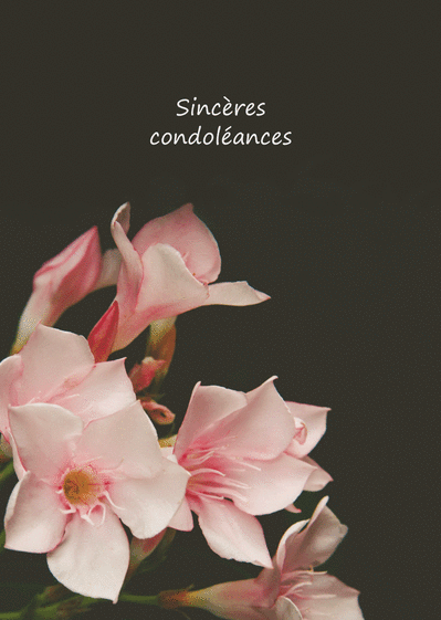 Carte Jolies Fleurs Et Condoléances : Envoyer une Carte 