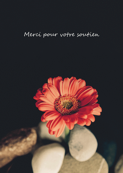 Carte Merci Pour Votre Soutien Et Fleur Rouge : Envoyer 