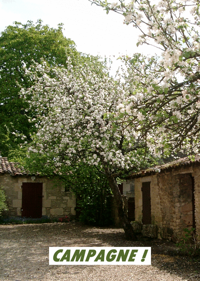 Carte Vacances A La Campagne Envoyer Une Carte De Vacances Des 0 99 Merci Facteur