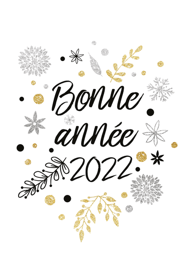 4849-Bonne​%20annn%20​e%202022%2​0sur%20fon​d%20blanc-​v_maxi.gif