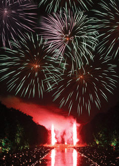 Envoyez Une Jolie Carte De Voeux 22 Avec Feu D Artifice Des 0 99 Envoi Rapide Avec Merci Facteur