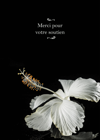 Carte Remerciements Condoléances Fleur Blanche : Envoyer 