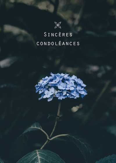 Carte Condoléances Et Fleur Bleu : Envoyer une Carte 